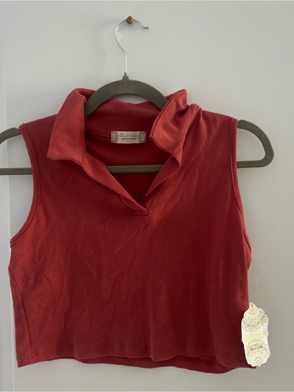 Altar'd State Sleeveless Collared Crop Top - Brick Red